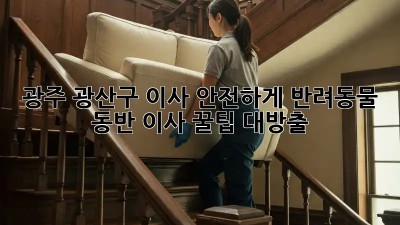 광주 광산구 이사🚚 안전하게! #반려동물🐾 동반 이사 꿀팁 대방출!