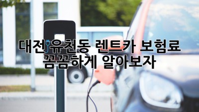 대전 유천동 렌트카, 보험료 꼼꼼하게 알아보자!