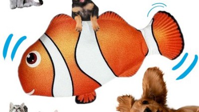 🐠 니모 장난감 득템 후기! 놓치면 후회할 특가 정보까지!